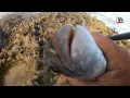 Download Lagu شعيبة vs الشرغو العنيد – حوار الموسم! 🐟🎭🎣🎣