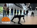 How the summer program AI4ALL is helping reshape the future