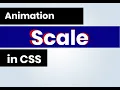 Scale Your Text A CSS Animation Tutorial Text Scale Animation Create a Visual Effect