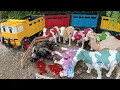 Download Lagu Wadidau‼️proses potong sapi lucu|sapi melahirkan cesar,simulasi kurban,cow,Sheep,buffalo,lion,panda