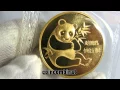 Panda Gold China 1982 RARE COIN