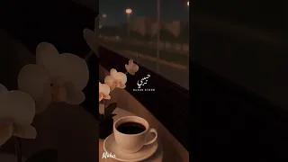 حبيبي سيد روحي وقلبي حالات واتس  حبيبي سيد روحي وقلبي حالات واتس