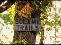 Download Lagu Solame Trails // Dig 25 // 2002