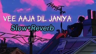 vee aaja dil janiya slowed and reverb full song world of music 2 0