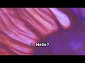 After - 300 Dreams (Karaoke)