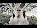 Discover Khalifa Kush s Baby Turtle Hybrid Strain Trulieve