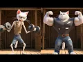 Download Lagu 🐾 Skinny Cat has no tolerance for betrayal – and the ending is so satisfying 😼✨
