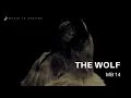 Download Lagu MB14 - The Wolf (Music in Stories)