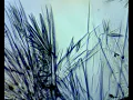 Acetone Wash Crystallization
