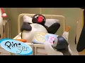 Download Lagu Pingu Has a Sore Tummy  🐧 | Pingu - Official Channel | Cartoons For Kids