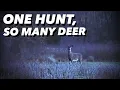 DEER HUNTING with 350 LEGEND We saw SO MANY DEER - KW W