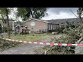 Download Lagu Buurtbewoners bij Korhoenlaan opgelucht na kap van gevaarlijke bomen