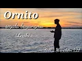 Download Lagu Ornito -Segala bayangmu [lirik]