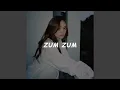 Download Lagu Zum Zum (Joget Instrumental)