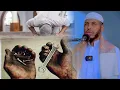 Download Lagu Sadex Talo Oo  Aduun Iyo Aakhiro Ku Anfacaya    Sh Barbaraawi