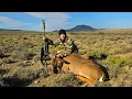 Download Lagu Hunting South Africa’s Iconic Kudu \u0026 Springbuck