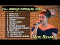 Download Lagu NOK SEHAN ANEKA TUNGGAL FULL ALBUM PILIHAN PALING ENAK DIDENGAR
