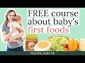 Free starting solids course for parents of babies from a nutrition P and dietitian