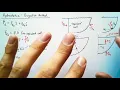 Hydrostatics - Projection Method