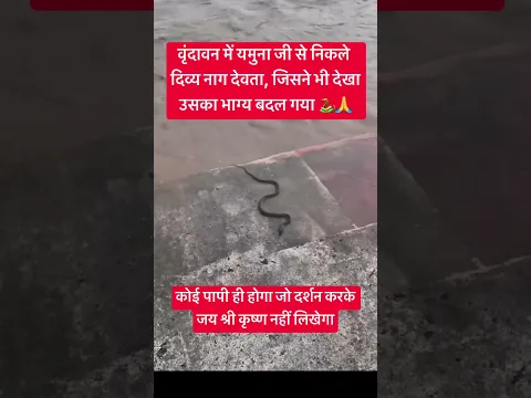 यमुना से बाहर आए नाग देवता #krishna #krishnabhakti #nagnagin #explore #shorts #trend #viral #vlog