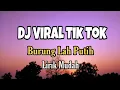 Download Lagu HEBOH PADA MASANYA! (BURUNG LAH PUTIH -DJ VIRAL-TIKTOK) Takabek Gadih Rantau(Lirik)free download