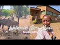 A Day at Game Haven Lodge Game drive Edition Things to do in Malawi