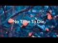 Billie Eilish - No Time To Die(Lyrics Video)
