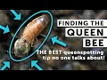 Download Lagu SPOT THE QUEEN BEE EVERY TIME: Secret to Finding the Queen EVERY Time