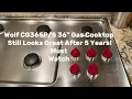 Wolf 36 Gas Cooktop Still Looks Great After 5 Years