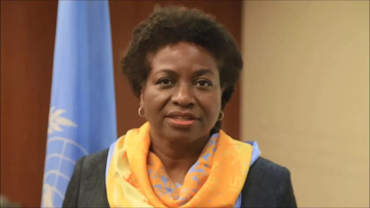 2017 International Day for the Elimination of Violence against Women