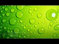 Solar Fields - Feelings (Movements Album Edit)