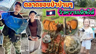 ตลาดวัวควายเดินได้มีของป่ามากมายอาทิตละสองวันเมืองยมราช