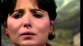 لست أدري ما بعيني غير أني لم أنم الشهد و الدموع 