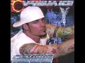 Download Lagu Vanilla Ice - Platinum Underground (Full Album Stream)