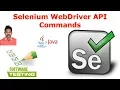 Selenium Tutorial For Beginners 24 Selenium WebDriver API Commands G C Reddy