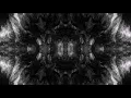 Architects - Hereafter w Orchestra
