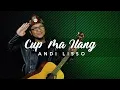 CUP MAILANG LAGU PALEMBANG | ANDYAN #50paske15