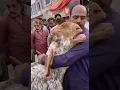 Download Lagu viral video rota hua bakra Bakra Eid qurbani