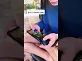 Video asli KAMU PILIH MATIIN GAME APA AKU|VIRAL‼️