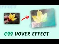 Stunning Image Hover Effect using CSS and HTML