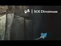 Download Lagu Octopus Odyssey Encore Dive at Fuente Knoll | SOI Divestream 631