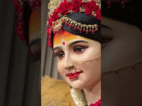 এই দুর্গাপ্রতিমার ৪টি রেকর্ড অবাক করবে, চতুর্থটি শুনলে চোখে জল আসবে | Viral Durga Idol
