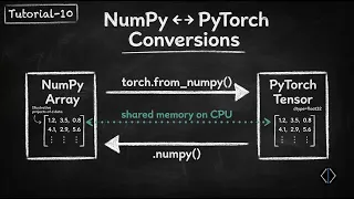 PyTorch to NumPy How to Convert Data Without Memory Copies Tutorial-10