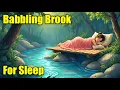Babbling Brook Sounds for Sleep 12 Hours Relaxing Stream Ambience Sleep Sounds