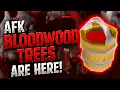 Bloodwood Trees Are Finally AFK OSRS Update
