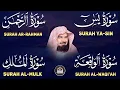 سورة يس + الواقعة + الرحمن + الملك + الكهف للرزق والشفاء العاجل باذن الله💚 عبد الرحمن السديس