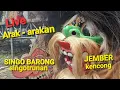 Lagu Live seni Jaranan SINGOBARONG singotrunan arak-arakan   live  JEMBER Kencong