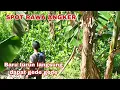 Download Lagu MERINDING..!!! BERBURU BELUT JUMBO DIRAWA ANGKER KOTA JOMBANG