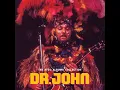 Right Place Wrong Time - Dr. John