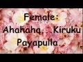 Download Lagu Pattathu Yaanai -   Enna Oru Enna Oru Lyrics